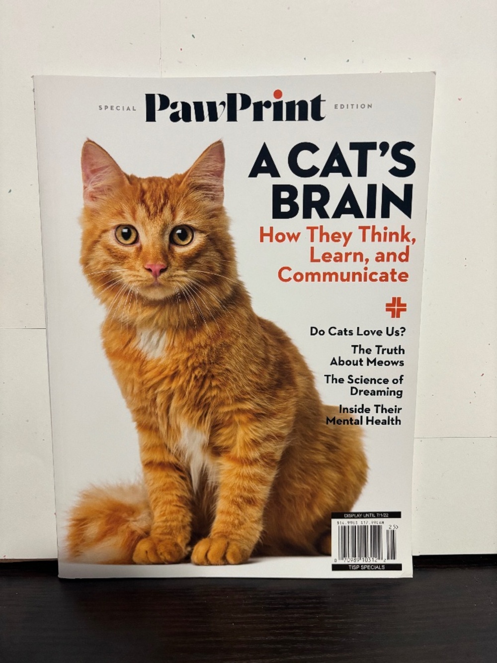 Cat Magazine